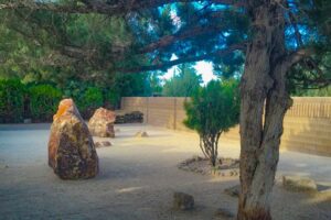 Fenced off-leash pet run at Sparks Marina RV Park with open space for dogs to play and exercise safely