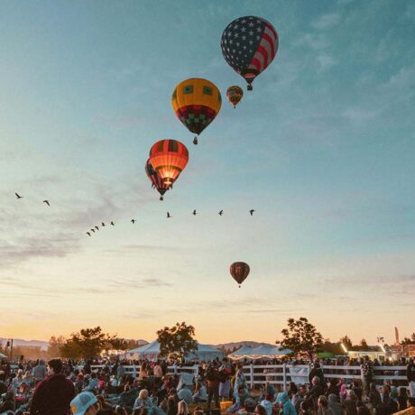 Colorful hot air balloons rising at dawn during the Reno Balloon Races, a beloved annual event in Northern Nevada