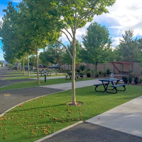 Well-maintained RV park in Northern Nevada with marina access, paved roads, and full-service amenities for travelers